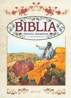 Religia i religioznawstwo - [OUTLET] Biblia. Historia zbawienia w opowiadaniach - miniaturka - grafika 1