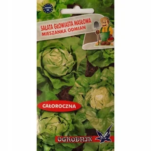 Sałata masłowa mix całoroczna 1g / O / - Nasiona i cebule - miniaturka - grafika 1