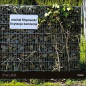 Poezja - Licytacja kamienia - Michał Filipowski - miniaturka - grafika 1