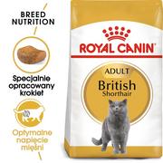 Royal Canin British Shorthair 10 kg