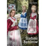 Opowiadania - Śladami Bambrów - miniaturka - grafika 1