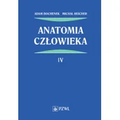 Pozostałe książki - Anatomia człowieka. Tom 4 - miniaturka - grafika 1