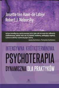 Harmonia Intensywna krótkoterminowa psychoterapia dynamiczna dla praktyków - ten Have-de Labije Josette, Neborsky Robert J. - Psychologia - miniaturka - grafika 2