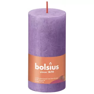 Świece - Bolsius Rustykalne świece pieńkowe Shine, 8 szt., 100x50 mm, fioletowe Sfeerpunt - grafika 1