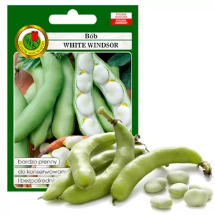 BÓB WHITE WINDSOR WCZESNY  NASIONA BEZ GMO 50g - Nasiona i cebule - miniaturka - grafika 1