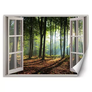 Fototapeta, Okno - poranek w lesie (Rozmiar 140x100) - Fototapety - miniaturka - grafika 1