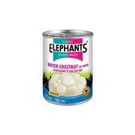 Pasztet i przetwory mięsne - Tajskie Kasztany Wodne Całe "Water Chestnuts" 540g Twin Elephants - miniaturka - grafika 1