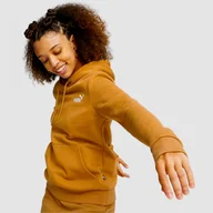 Bluzy sportowe damskie - Damska Bluza Puma Ocieplana Z Kapturem Brązowa 670004-74 - miniaturka - grafika 1