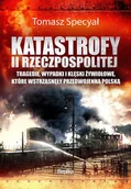 Historia Polski - Katastrofy II Rzeczpospolitej. Tragedie, wypadki i klęski żywiołowe, które wstrząsnęły przedwojenną Polską - miniaturka - grafika 1