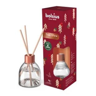 Dyfuzor zapachowy 60 ml LE TS Winter Spices - Zapachy do domu - miniaturka - grafika 1