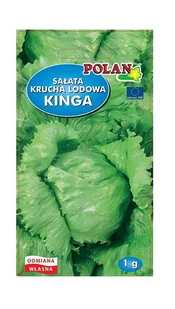 Sałata głowiasta krucha Kinga 1 g POLAN - Nasiona i cebule - miniaturka - grafika 1