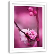 Plakaty - Obraz w ramie białej FEEBY, Różowy Kwiat jabłoni 60x90 - miniaturka - grafika 1
