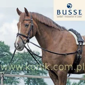 Akcesoria jeździeckie - BUSSE Wypinacze trójkątne BASIC - miniaturka - grafika 1