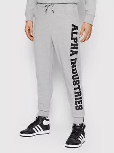 Alpha Industries Spodnie dresowe Big Letters 126343 Szary Regular Fit - Spodnie sportowe męskie - miniaturka - grafika 1