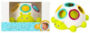 Bam Bam Zabawka Sensoryczna Żółw - Grzechotki dla dzieci - miniaturka - grafika 1