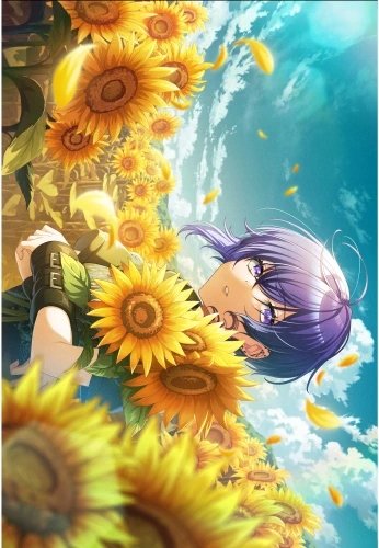 Plakat Anime Manga D4DJ D4DJ_051 A3 (custom)