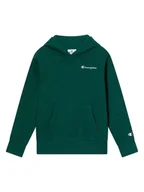 Bluzy damskie - Champion Bluza w kolorze zielonym - miniaturka - grafika 1