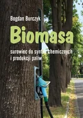 Technika - Biomasa surowiec do syntez chemicznych i produkcji paliw - miniaturka - grafika 1