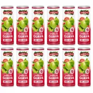 Napoje gazowane - Jungle Fruits Napój gazowany z sokiem z guawy Zestaw 12 x 330 ml - miniaturka - grafika 1