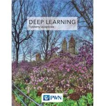 GOODFELLOW IAN Deep Learning Współczesne systemy ucz$1306ce się - Książki o programowaniu - miniaturka - grafika 1