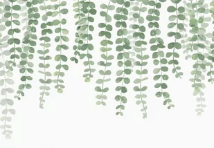 Zielone gałązki bluszczu - fototapeta 366x254 cm - Fototapety - miniaturka - grafika 1