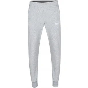 Spodnie Puma Ess 2 Col Logo Pants Tr Cl, Mężczyźni - Spodnie sportowe męskie - miniaturka - grafika 1