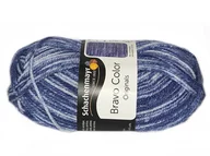 Pasmanteria - Import Włóczka Schachenmayr Bravo Color (02113) A58B-52541_20211127195816 - miniaturka - grafika 1