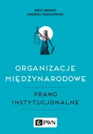 Prawo - Organizacje międzynarodowe Prawo instytucjonalne Jerzy Menkes Andrzej Wasilkowski - miniaturka - grafika 1