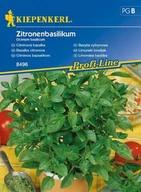 Nasiona i cebule - Kiepenkerl Bazylia cytrynowa Ocimum basilicum 102288 - miniaturka - grafika 1