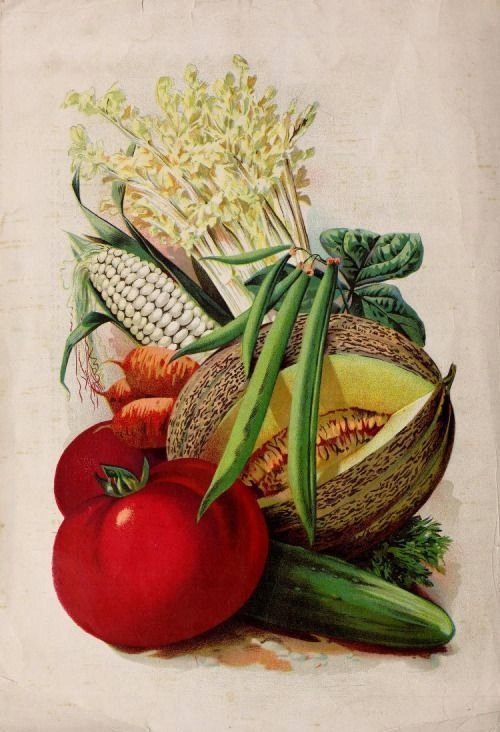 PODKŁADKA POD MYSZ Z Nadrukiem 22x18 cm Owoce Warzywa Vintage Tekst Prezent