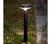Lampy ogrodowe - Zuma Line PT33613 - LED Lampa solarna CARLI LED/4,5W/2000 mAh IP44 czarny - miniaturka - grafika 1