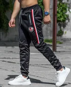 Spodnie męskie - Spodnie męskie dresowe czarne Recea - miniaturka - grafika 1