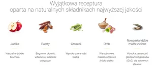 JOSERA Nature Energetic 5x900g - Sucha karma dla psów - miniaturka - grafika 3