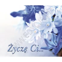 Edycja Świętego Pawła praca zbiorowa Perełka 188. Życzę Ci... - Aforyzmy i sentencje - miniaturka - grafika 1