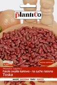 Nasiona i cebule - Fasola Karłowa Toska 40g PlantiCo - miniaturka - grafika 1