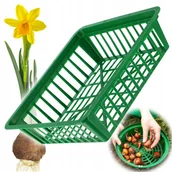 Pozostałe akcesoria do uprawy roślin - Koszyk do cebulek Julis 28 x 25 cm, zielony - miniaturka - grafika 1