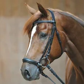 Ogłowia - Kavalkade Ogłowie z nachrapnikiem hanowerskim LINA - miniaturka - grafika 1