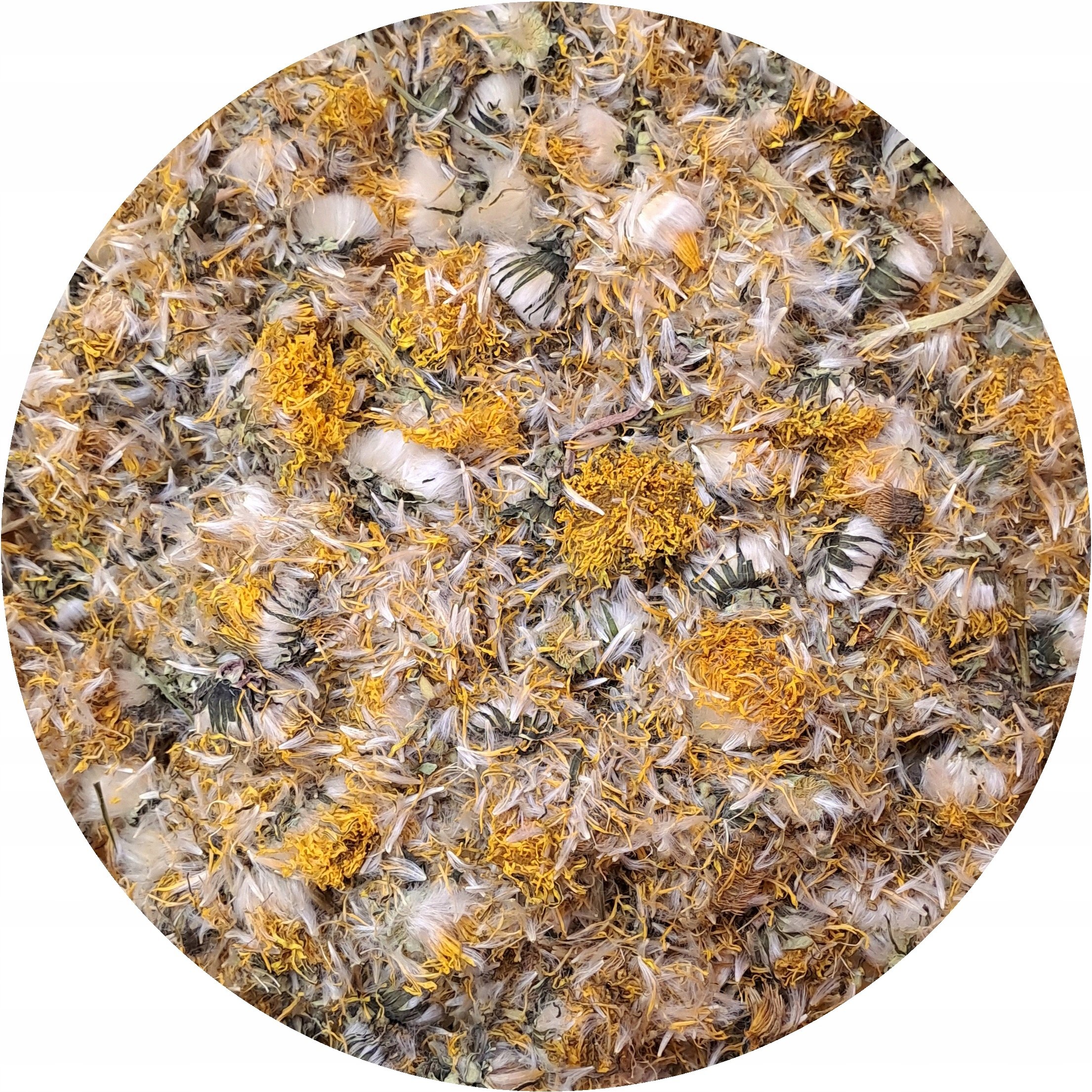 Mniszek lekarski Kwiat mniszka susz Taraxacum officinale Mystic.Garden 500g