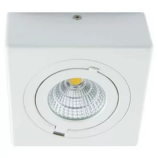 Ideus Oczko LAMPA natynkowa IGOR LED 9W 03128 metalowa OPRAWA sufitowa REFLEKTOREK regulowany biały - Lampy sufitowe - miniaturka - grafika 1