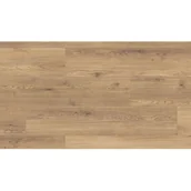 Panele podłogowe - Panel podłogowy wild sargus oak 8 mm - miniaturka - grafika 1