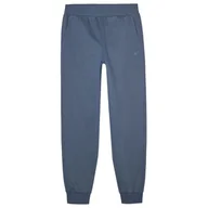 Spodnie sportowe męskie - Męskie spodnie dresowe 4F Trousers M0943 Rozmiar: M / Kolor: niebieski - miniaturka - grafika 1
