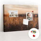 Tablice i flipcharty - Szkolna Tablica korkowa 60x40 cm, Kolorowe Pinezki, wzór Pole wschód słońca - miniaturka - grafika 1