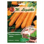 Nasiona i cebule - Legutko Marchew jadalna Berlikumer 2 - na taśmie 7 m - miniaturka - grafika 1