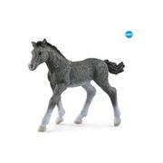 Figurki dla dzieci - Schleich Figurka Źrebię rasy trakeńskiej 465217 - miniaturka - grafika 1