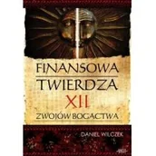 Finanse, księgowość, bankowość - Finansowa twierdza Daniel Wilczek - miniaturka - grafika 1