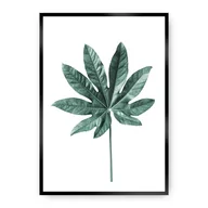 Plakaty - Dekoria Dekoria Plakat Leaf Emerald Green 50 x 70 cm Ramka Czarna 222E-000-01 - miniaturka - grafika 1