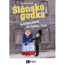 Wydawnictwo Naukowe PWN Ślonsko godka ilustrowany słownik dla Hanysów i Goroli - Joanna Furgalińska