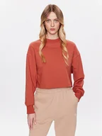 Bluzy damskie - New Balance Bluza Athletics Nature WT23555 Brązowy Relaxed Fit - miniaturka - grafika 1