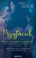 Romanse - Jesteś dla mnie wszystkim. Przyjaciel. Tom 3 - miniaturka - grafika 1