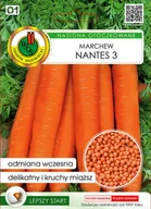 Nasiona i cebule - Marchew jadalna Nantes 3 300z OT. - miniaturka - grafika 1